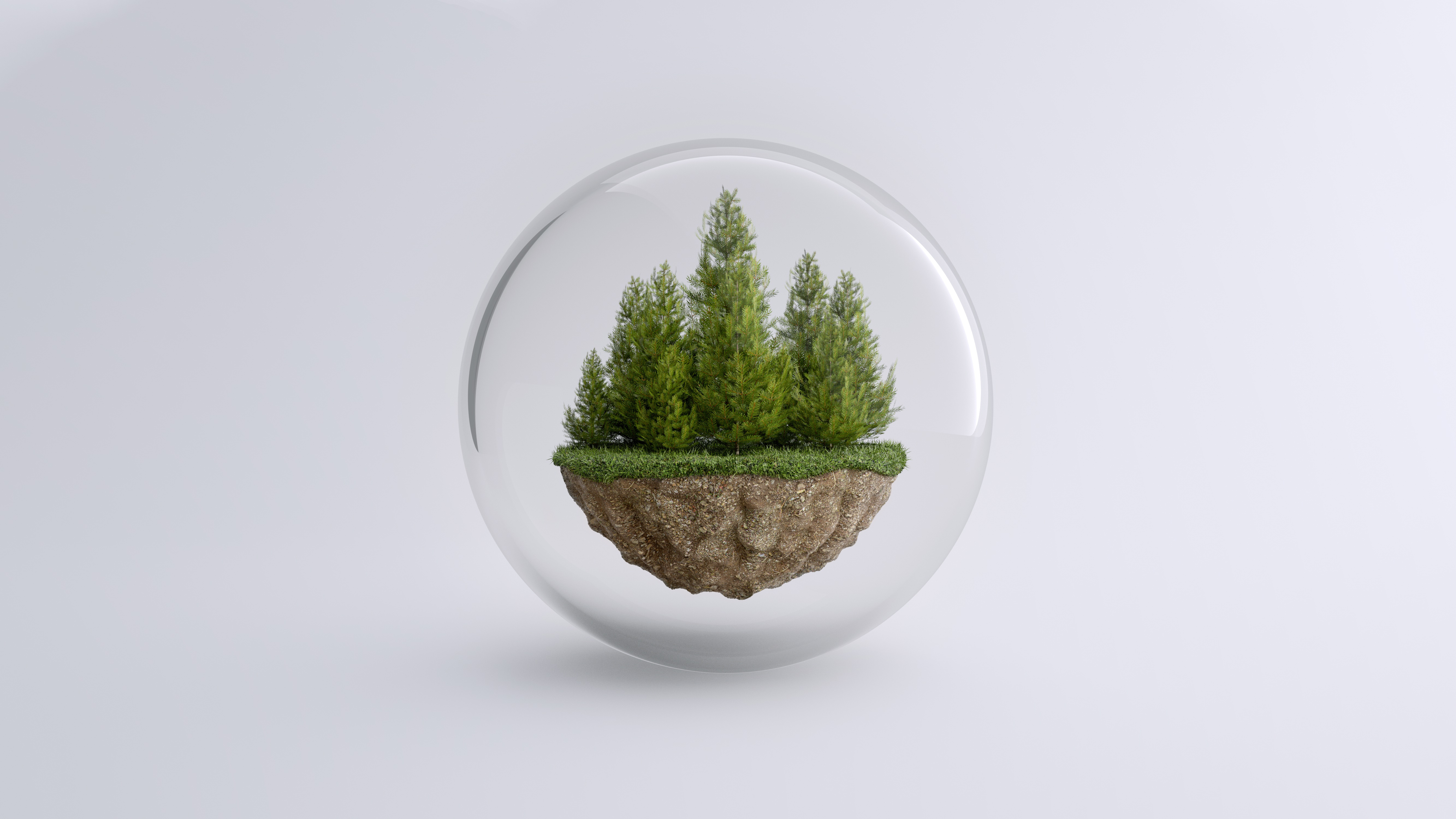 Abstract plant in a glass ball